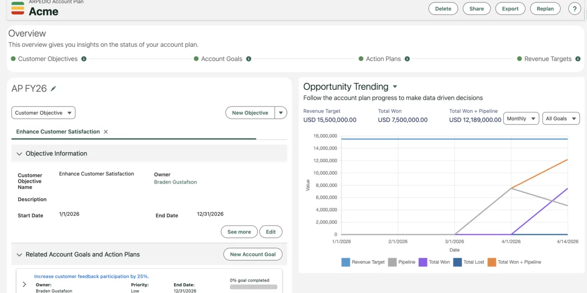ARPEDIO strategic account plan in Salesforce — structured account plan view showing situation summary, stakeholder network, and opportunity map for an enterprise KAM.
